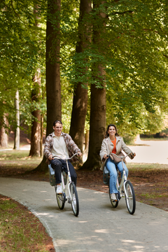 E-bike package cycling on the Veluwe 